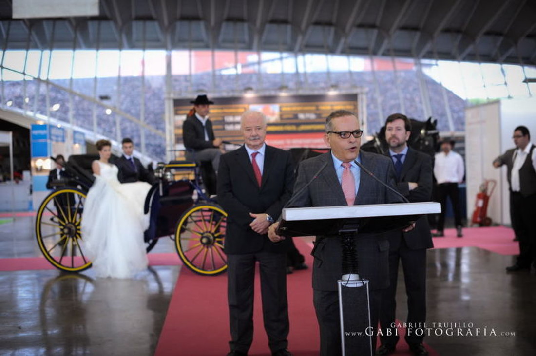 217GAB_9218-gabi-fotografo-tenerife-boda-feboda-2012